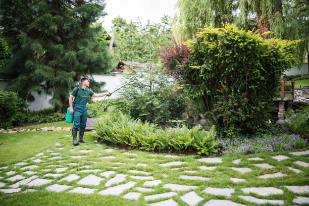 Best Affordable Pest Control Services  in Strathmore, NJ