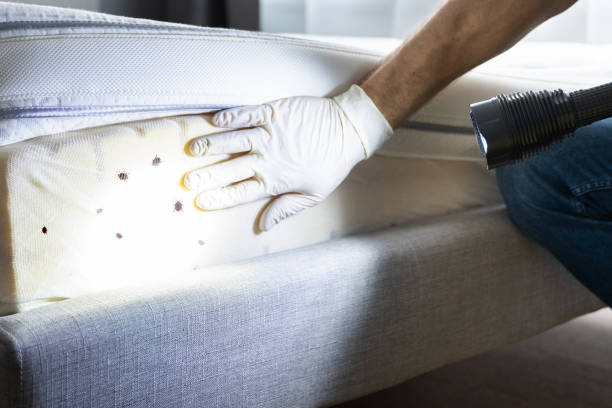 Best Mosquito Control Services  in Strathmore, NJ