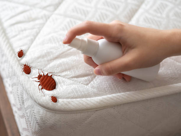 Best Ant Control Services  in Strathmore, NJ