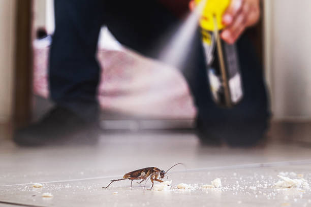 Pest Prevention Services in Strathmore, NJ
