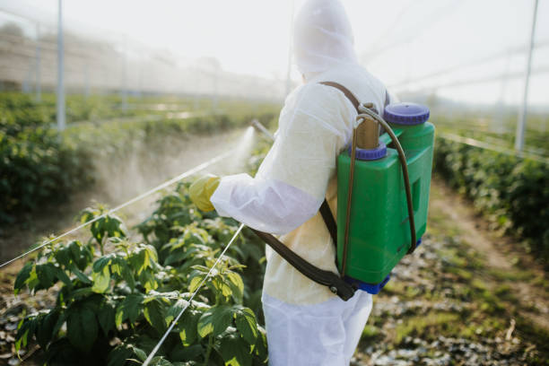 Best Residential Pest Control  in Strathmore, NJ